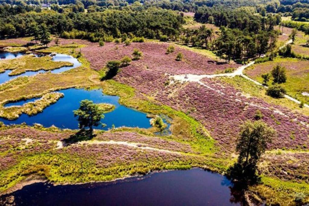Villa June Rosy Wijchen Zewnętrze zdjęcie